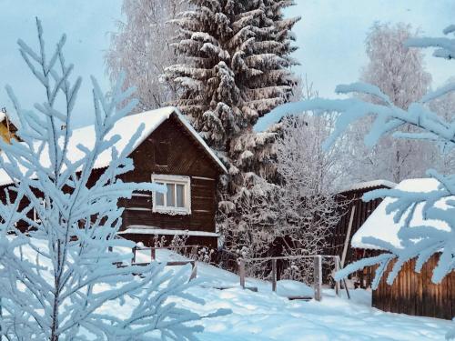 Фотография гостиницы Лесной Голубино