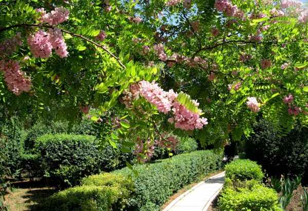 Фотография достопримечательности Дендропарк