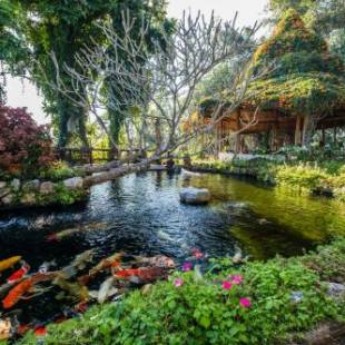 Фотографии гостиницы
Phu Chaisai Mountain Resort