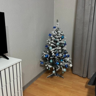 Фотография квартиры Квартира Видовая на легендарный Машук Сев Кав ТВ