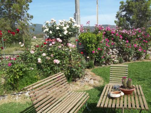 Фотография мини отеля Il Vecchioliveto di Ornella