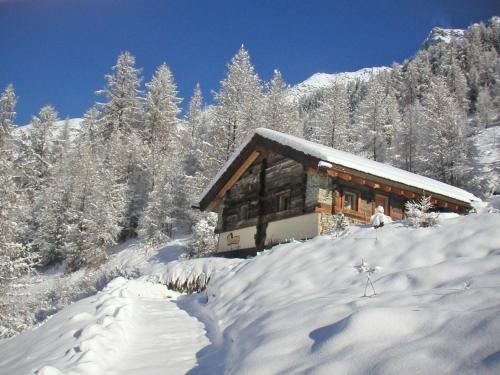 Фотография гостевого дома Chalet Epilobes