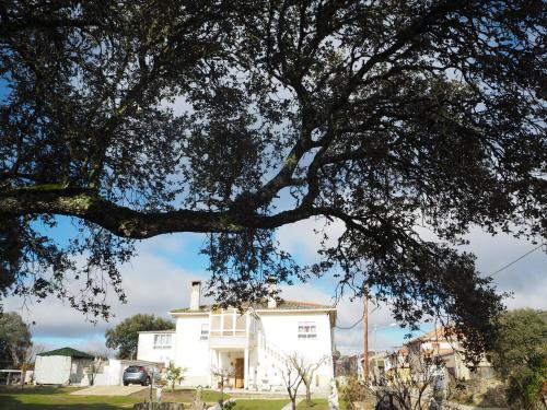 Фотография гостевого дома Villa Entre Encinas