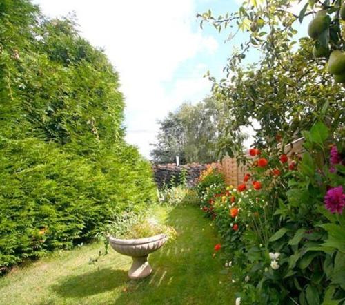 Фотография гостиницы Logis Auberge De L'ombrée