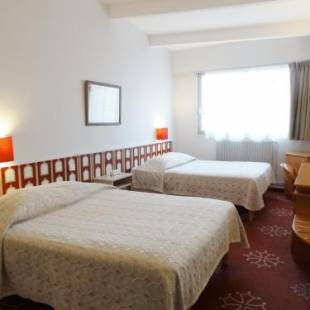 Фотографии гостиницы 
            Hotel Ours Blanc - Place Victor Hugo