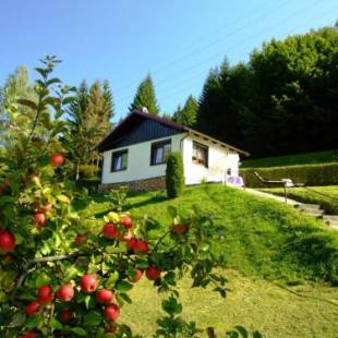 Фотографии гостевого дома 
            Cozy Cottage in Langenbach Thuringia near Lake