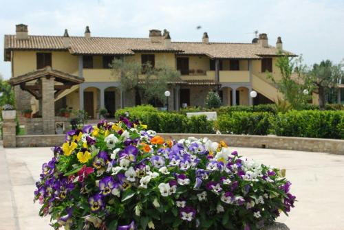 Фотография гостевого дома Agriturismo Il Casale di Monica