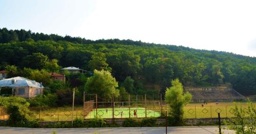 Фотография гостевого дома Surami Resort