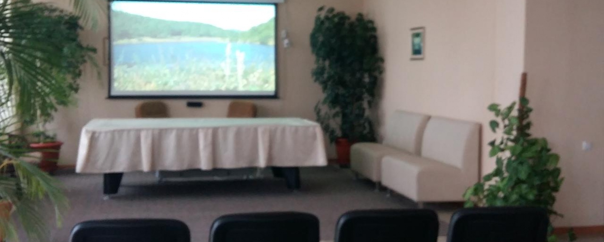 Фотографии конференц-зала Большой