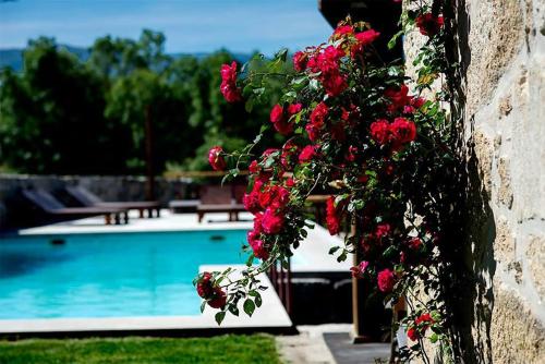 Фотография гостевого дома Casa da Várzea - Serra da Estrela