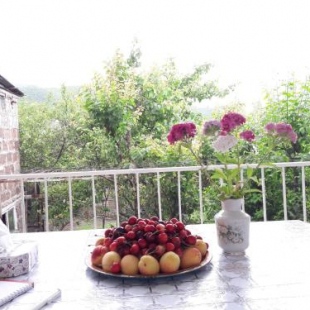 Фотография мини отеля Vanadzor