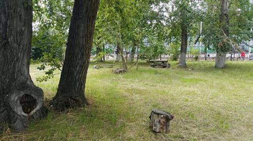 Фотографии гостевого дома
Toboroboro