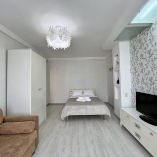 Фотография квартиры Квартира Однокомнатная в историческом центре Пятая авеню