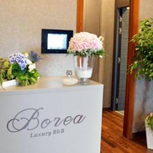Фотографии мини отеля 
            Borea Luxury B&B
