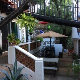 Фотография мини отеля Las Enredaderas