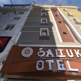 Фотографии гостиницы 
            Saltuk Hotel