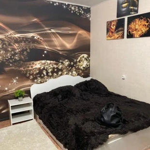 Фотография квартиры Квартира Большевиков 30