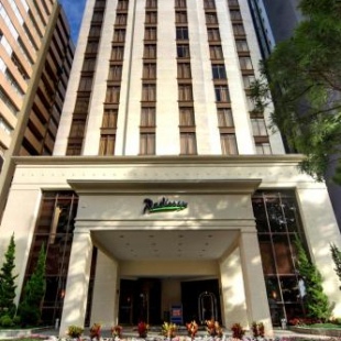 Фотография гостиницы Radisson Hotel Curitiba