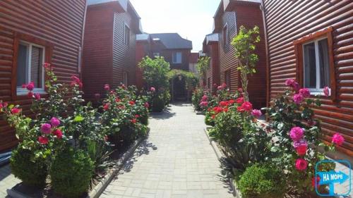 Фотография пансионата Янтарный