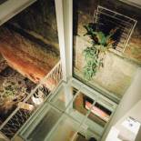 Фотография хостела 365.Hostel