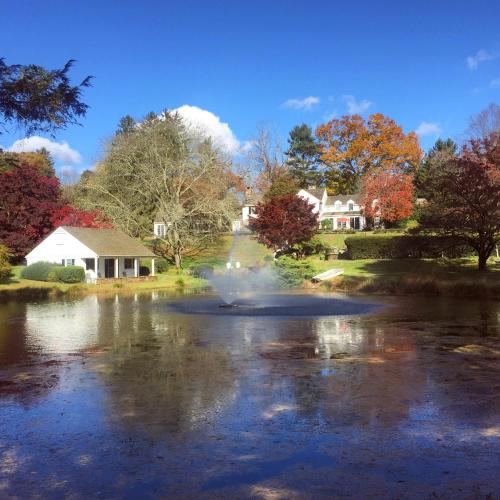 Фотография мини отеля The Inn at Whitewing Farm