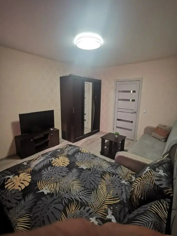 Фотография квартиры Квартира Ареал Однокомнатная Аэропорт Тц Солнечный