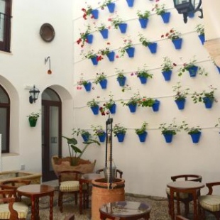 Фотография гостиницы Hotel Marisa
