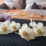 Фотография гостевого дома Ubytování GM