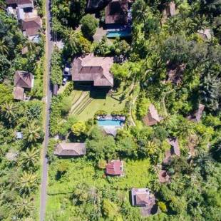 Фотографии гостиницы 
            Alassari Plantation