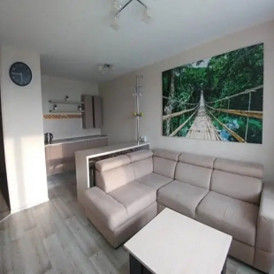 Фотография квартиры Апартаменты на Федерации 130а 80064