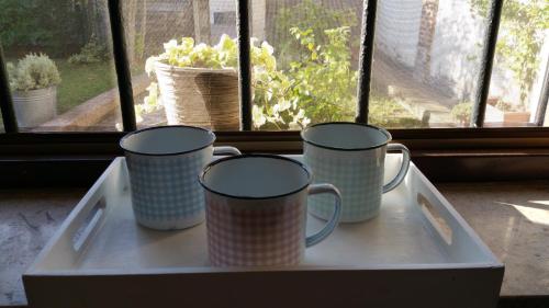 Фотография мини отеля Dragonfly B&B