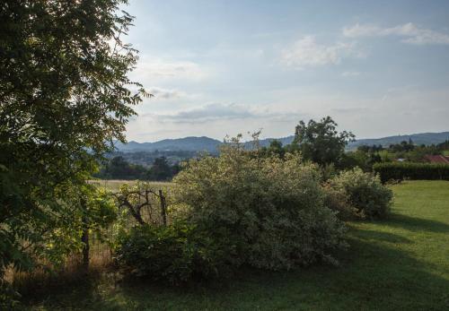 Фотография мини отеля B&B Puntodivista