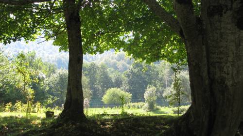 Фотографии гостевого дома
У Реки