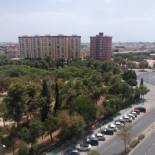 Фотография мини отеля Apartamentos Flamenco B&B