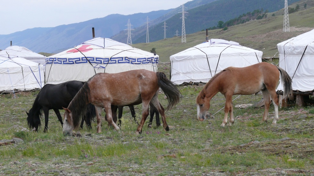 Фотография базы отдыха Юрточное кочевье