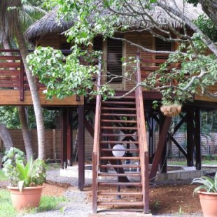 Фотография гостевого дома Insolite Ara Wakan / Ma cabane