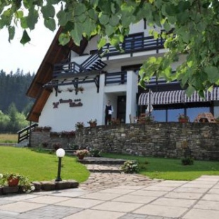 Фотография гостиницы Hotel Ieremia Movila