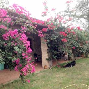 Фотографии гостевого дома
Casa Santina