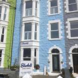 Фотография гостевого дома Bluebells guest house