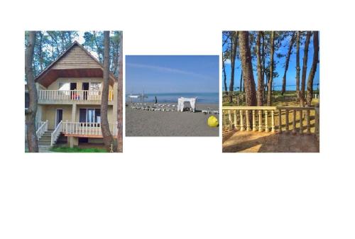 Фотография гостевого дома Beach View House