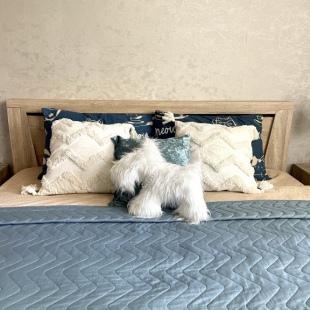 Фотография квартиры Апартаменты КВАРТ отель на Фирсова