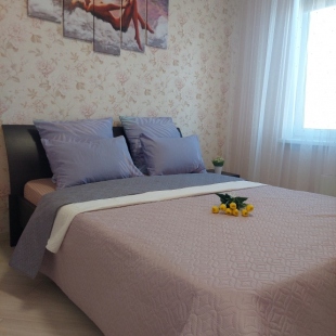 Фотография квартиры Апартаменты на Жукова 27/90