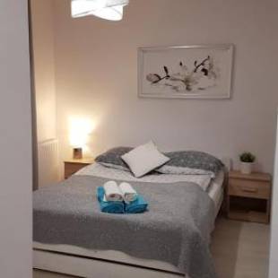 Фотографии мини отеля
Pensjonat Dziki Zakątek