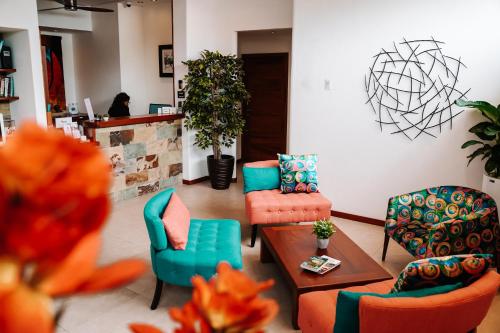 Фотографии гостиницы
Hotel Cucuve