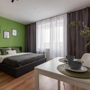 Фотография квартиры Квартира Живи в Песочном Студия Садовая 85