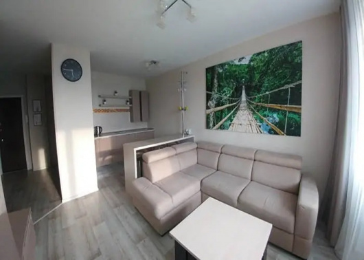 Фотографии квартиры 
            Апартаменты на Федерации 130а 80064