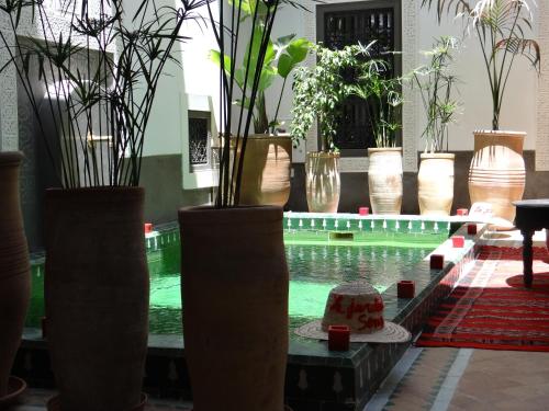 Фотография мини отеля Riad Jardin Des Sens