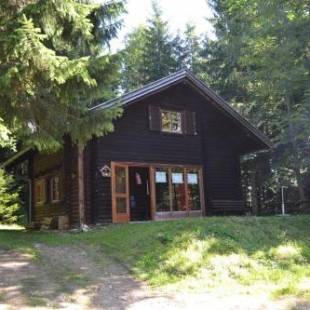 Фотографии гостевого дома 
            Ferienhütte Hochalm