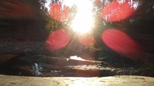 Фотография гостевого дома La Poza del Pato