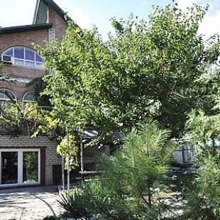 Фотография базы отдыха Лесная горка - возможно не работает!